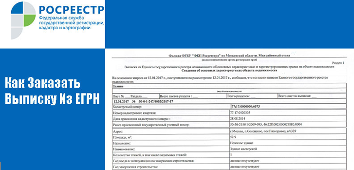 Срок выдачи документа в Росреестре