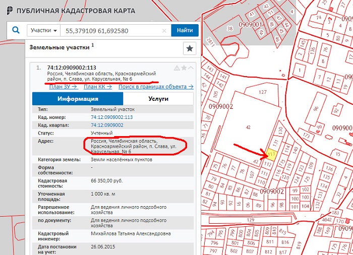 Какая информация доступна в выписке